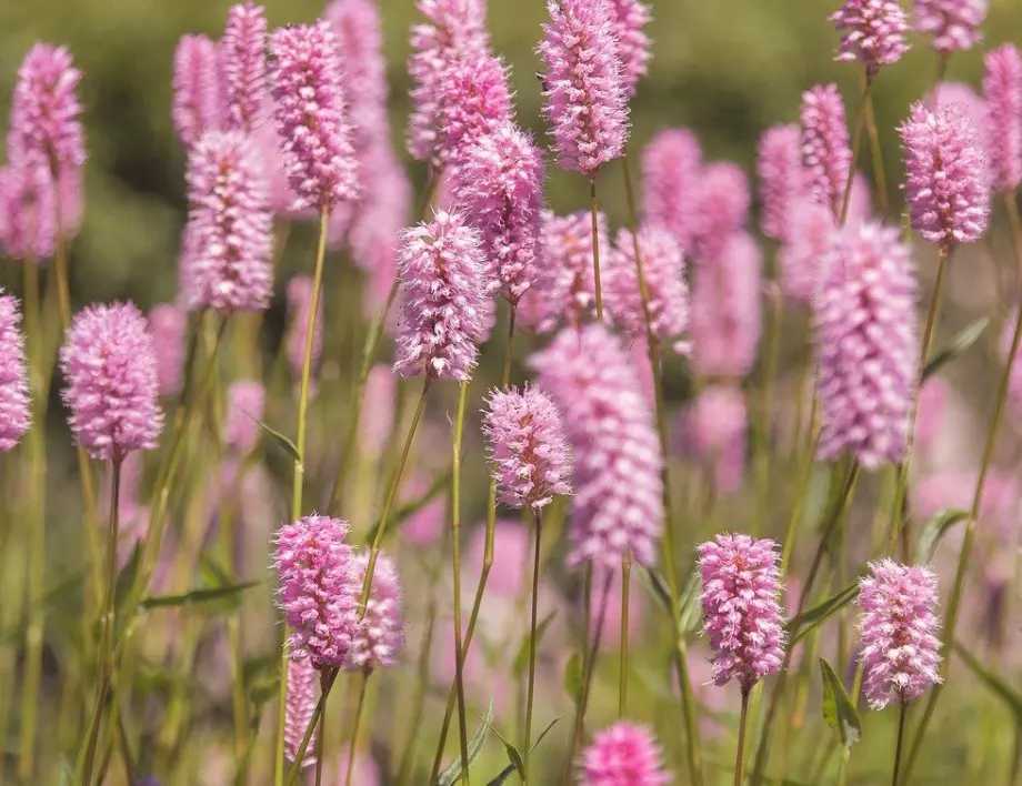 Прогноза за времето - 9 юли (петък)