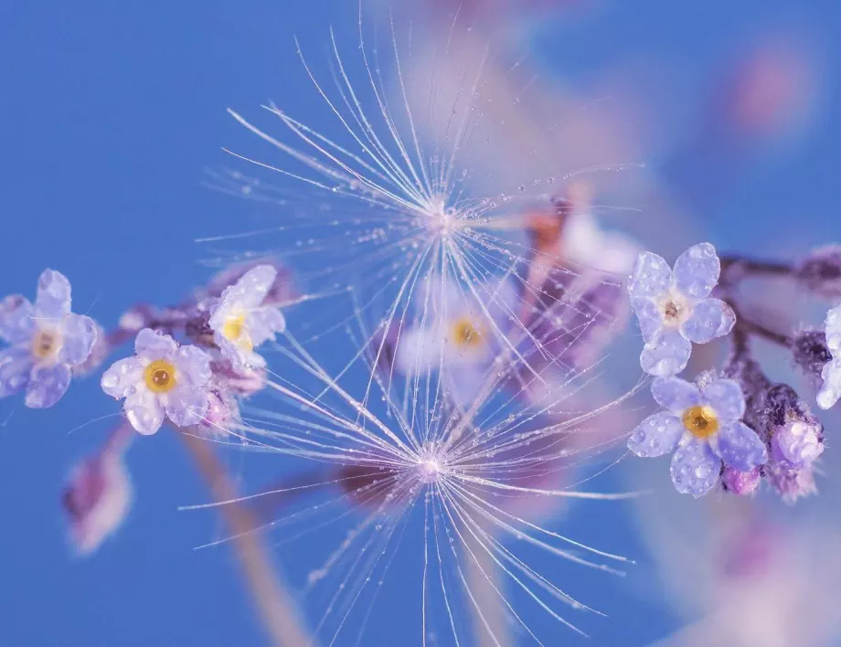 Времето утре - 28 април