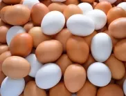 200 000 яйца са били спрени от продажба по Великден, има и затворени обекти