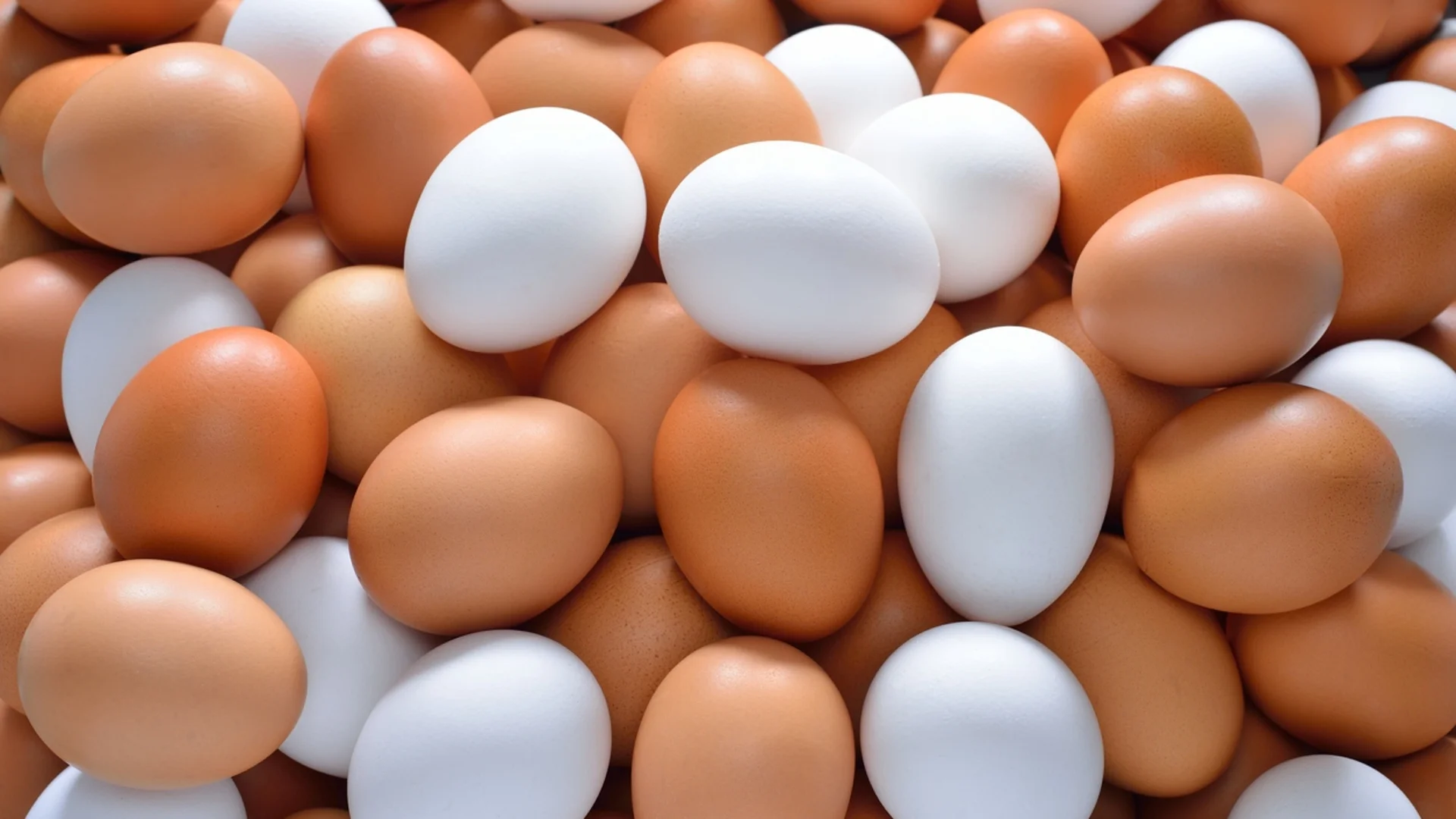 200 000 яйца са били спрени от продажба по Великден, има и затворени обекти