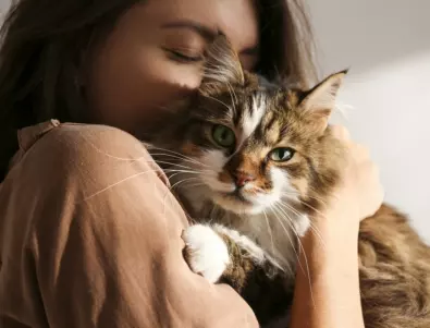 Отглеждането на котка вкъщи прави чудеса за здравето ви 