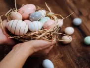 В Северна Македония замразиха цените на яйцата