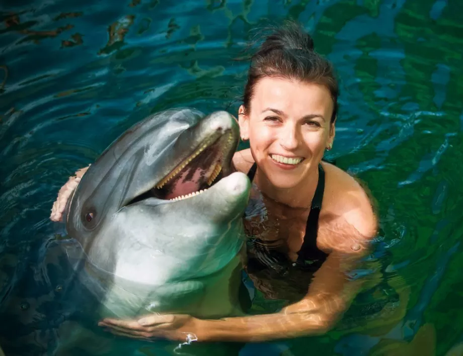 Сърцераздирателно: Делфин се самоуби след раздяла с човешката си любима 
