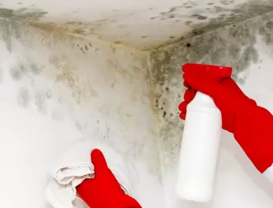 5-те неща, които не трябва да правите, когато откриете мухъл по тавана