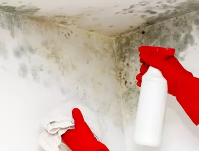Не забравяйте да изчистите мухъла в банята - ето как да се справите