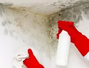 С тези препарати ще се отървете от мухъла в банята