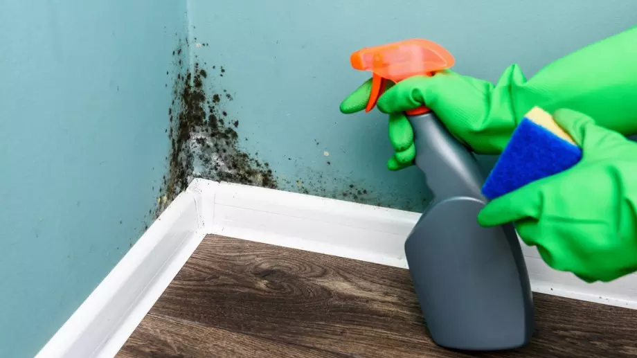 Край на отровната плесен в банята с тези ефективни трикове