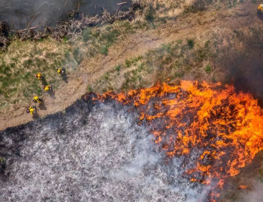 Турция разследва причините за горските пожари 