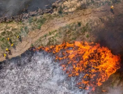 800 евакуирани, петима ранени при горски пожар в Италия