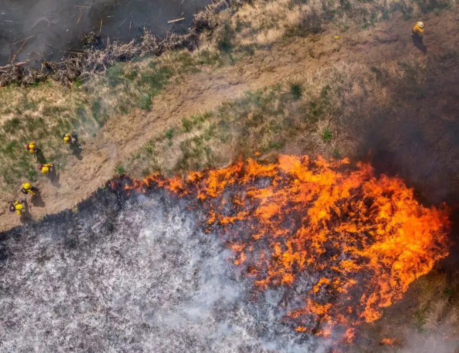 800 евакуирани, петима ранени при горски пожар в Италия