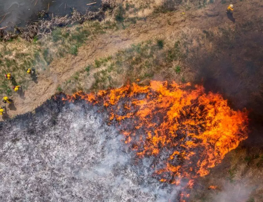 5 пожара горят в Кюстендилско (ВИДЕО)