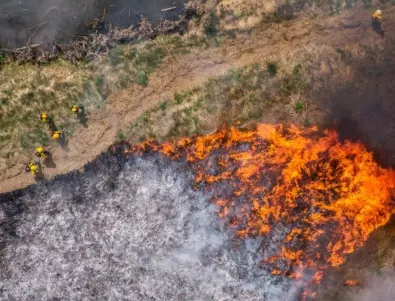 Нов пожар в Гърция, властите забраниха посещенията в гори и гористи местности