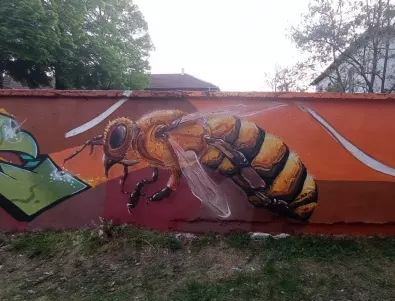 	Рисуваме 30 метрова стена в София за международния ден на пчелите