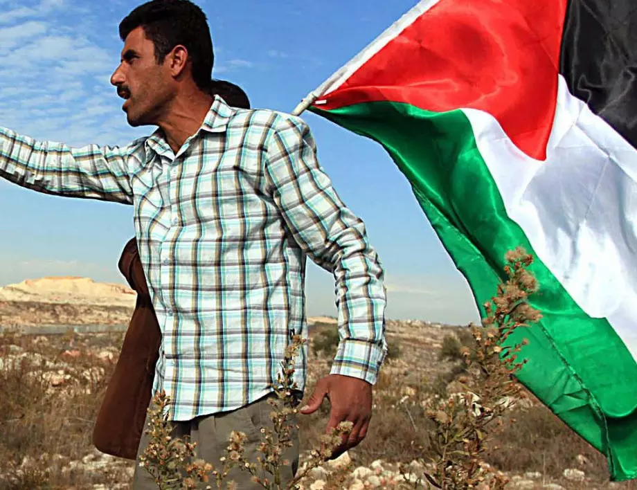 Арестуваха мъж, издигнал палестинско знаме в центъра на Атина (ВИДЕО) 