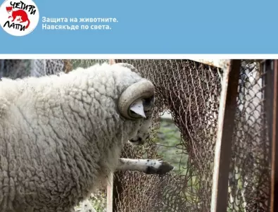Зов за зоопарковете в Деня на българските зоопаркове - 18 май