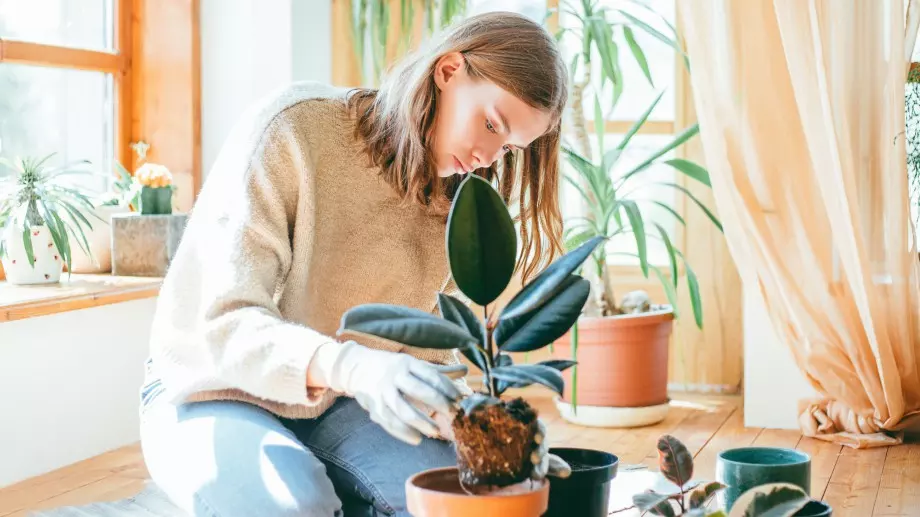 Цветен зодиак: какво цвете си според зодията? (2 част)