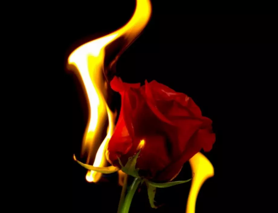 Петте астрологични зодиакални двойки, които не умеят да се понасят