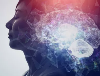 Кои са суперхраните за мозъка, които трябва да консумираме редовно ?