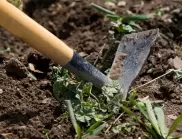 Естествен метод за премахване на плевели в домашната градина