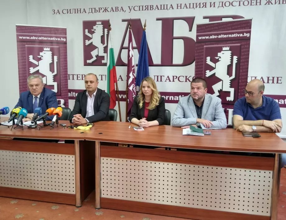АБВ ще участва в 23 избирателни района със свои представители