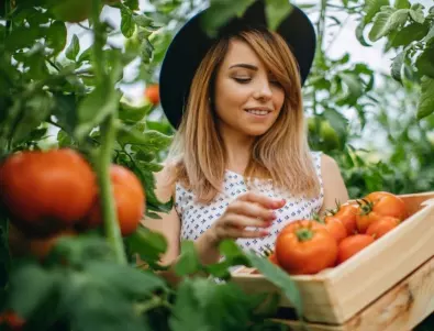 Как лесно и бързо да си засадим домати в саксия у дома (ВИДЕО) 
