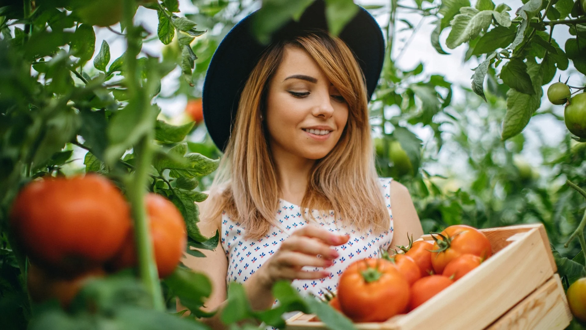 Най-вкусните сортове домати