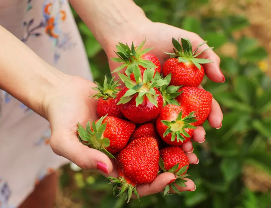 Защо листата на ягодите покафеняват: Възможни причини