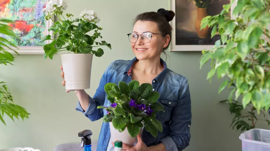 Растенията, които за нищо на света не трябва да стоят в дома ви, защото ви вредят