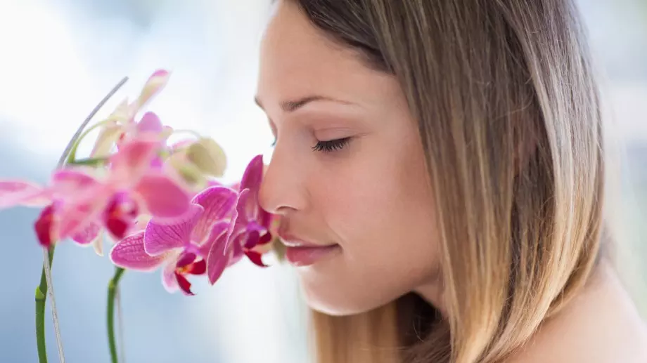 Грижи за орхидеята: Направете това и тя ще цъфти повече от 3 пъти годишно!