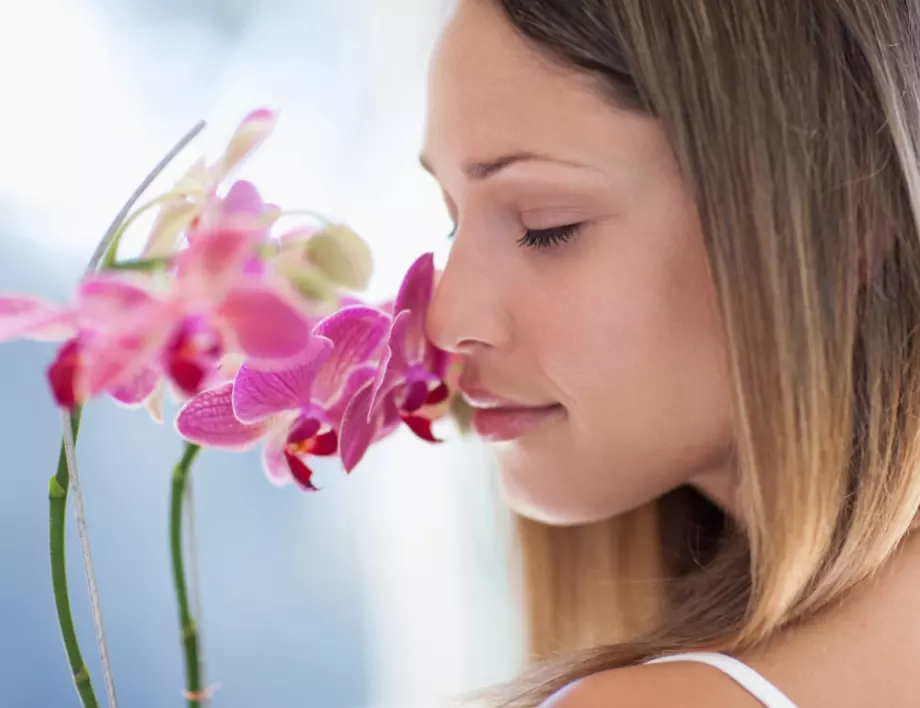 Грижи за орхидеята: Направете това и тя ще цъфти повече от 3 пъти годишно!