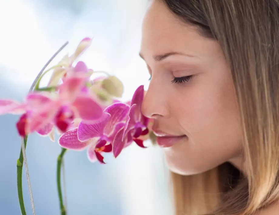 Какво ще накара орхидеята да цъфти като луда?