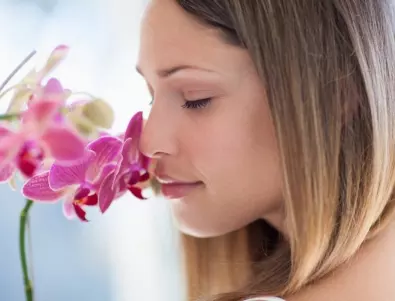 Защо НЕ трябва да имате орхидея в дома си?
