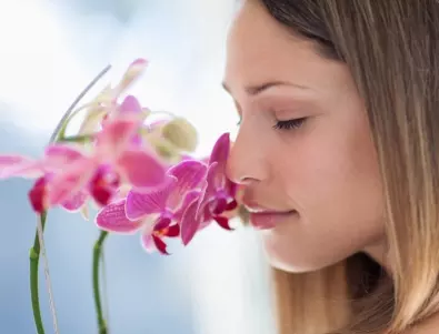 Лесно ли е да се сдобиете с красива орхидея на перваза на прозореца?
