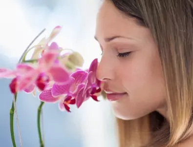 Ако правите ТОВА редовно, орхидеята ще цъфти нонстоп