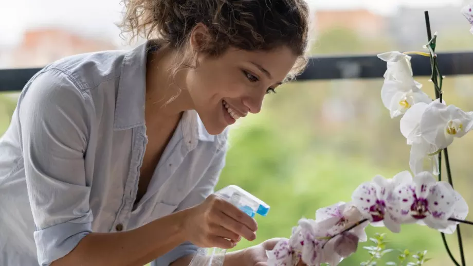 Това струва стотинки в аптеките, но пък спасява орхидеята от сигурна смърт 