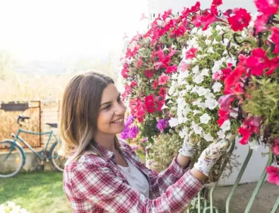 Цветя за мързеливи градинари - те ще цъфтят дори и ако не се грижите за тях