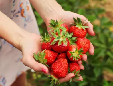 Китайският метод за засаждане на ягоди: Двойна реколта и по-сладки плодове