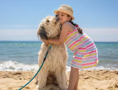 5 секундното правило: Лесният начин да разберете кога е твърде горещо, за да разхождате кучето си