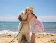 Без кучета на плажа във Варна до 1 октомври