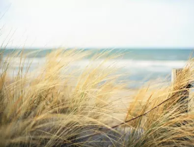 Предимства и недостатъци на неохраняемите плажове