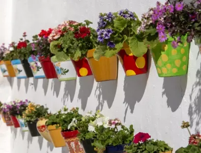 Свежа идея за лятото – направи си ледена купа с цветя