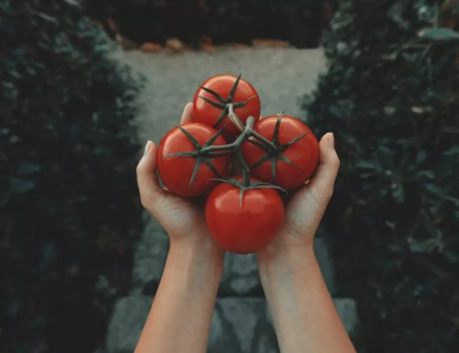 Страхотна рецепта за вкусни пълнени домати