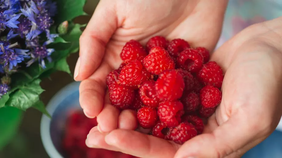 Този плод изчиства организма от отровите и помага за отслабването