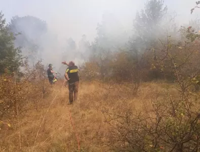 Овладян е пожарът в землището на сeло Кръстевич