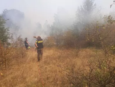 Военни и днес гасят пожара в Розино 