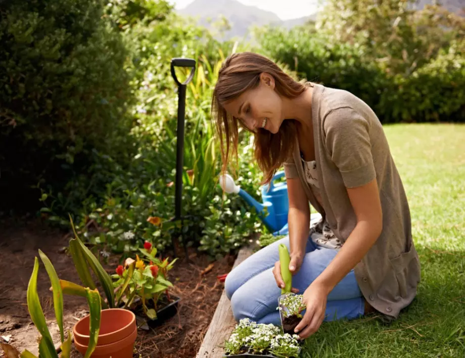 8 бързи съвета за градинарство през юли
