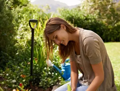 ХЛЯБ за подхранване на градинските растения - лесно и ефективно