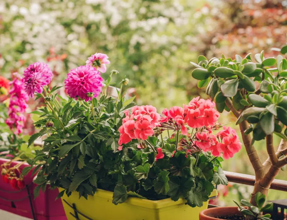 Времето утре - 19 февруари 