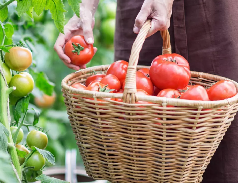 7 невероятни ползи от доматите