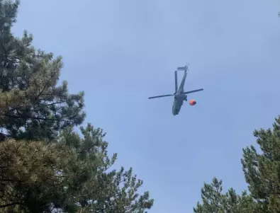 Локализиран е пожарът в Държавно горско стопанство - Твърдица 